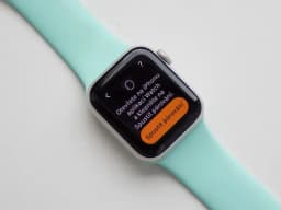 Watch SE 2022 0GB Stříbrná